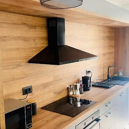 Modern With Fireplace & Stylish Kitchen Apartment *