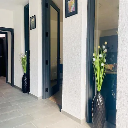 Modern With Fireplace & Stylish Kitchen Appartement