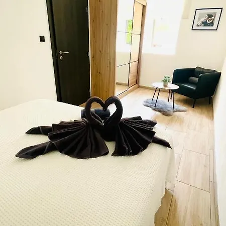 Modern With Fireplace & Stylish Kitchen Apartment